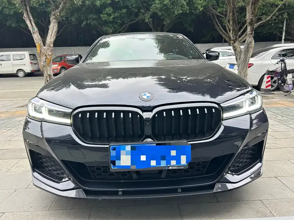 BMW 5 Series 2021 из CN, фото 2