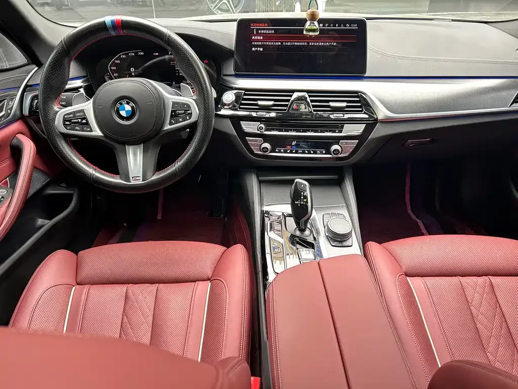 BMW 5 Series 2021 из CN, фото 5
