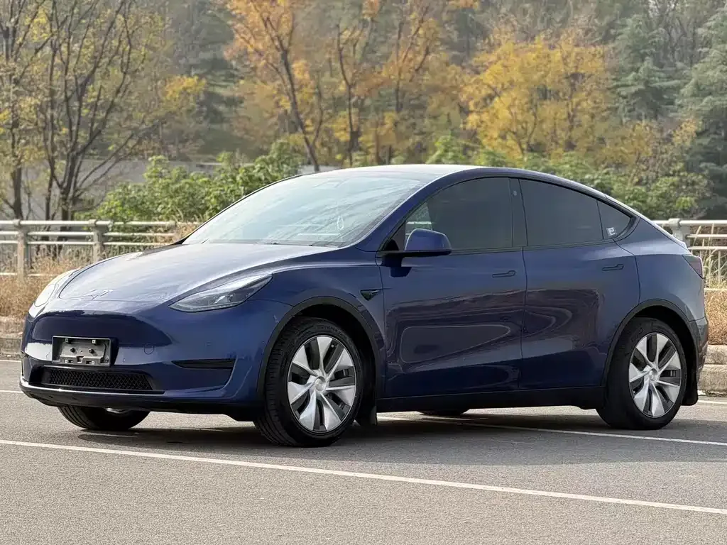Tesla Model Y 2022 из CN, фото 1
