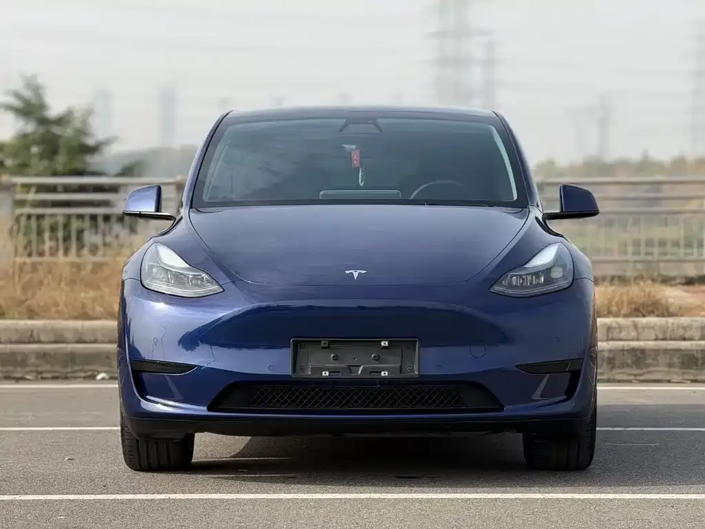 Tesla Model Y 2022 из CN, фото 2