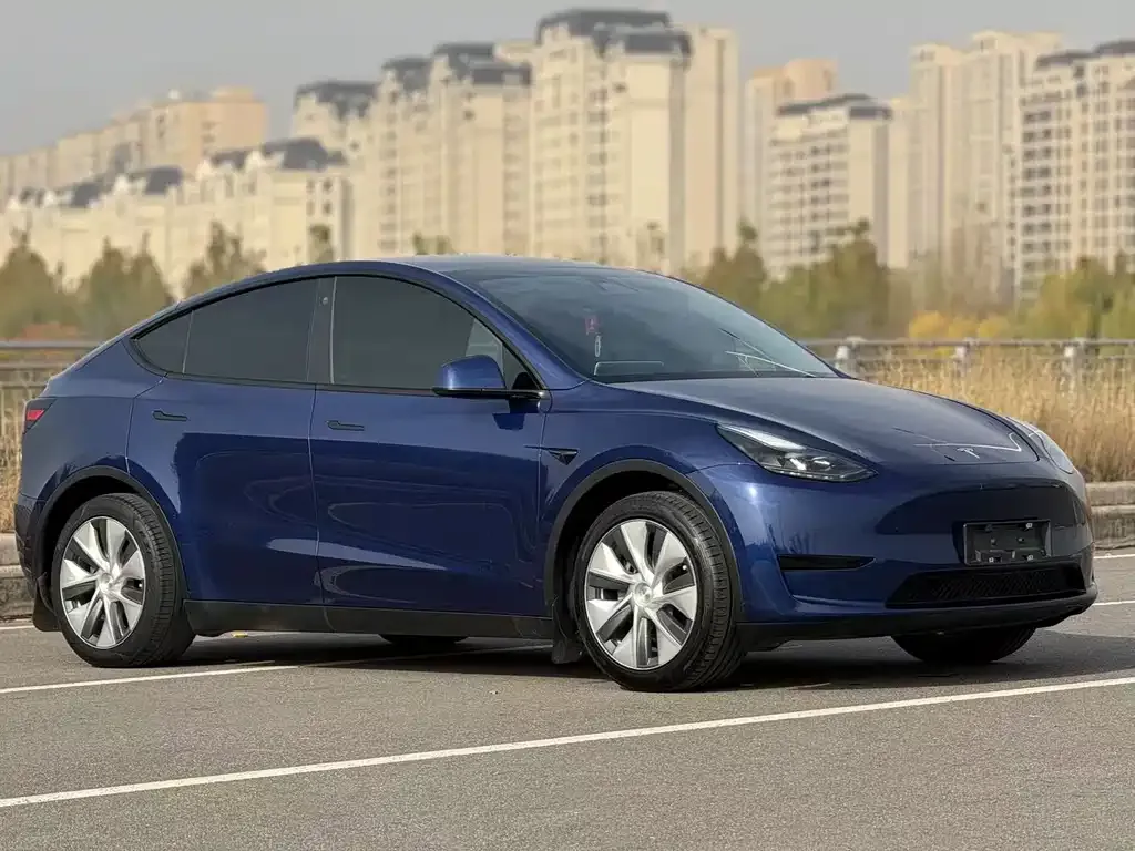 Tesla Model Y 2022 из CN, фото 3