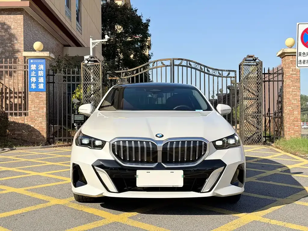 BMW 5 Series 2025 из CN, фото 2
