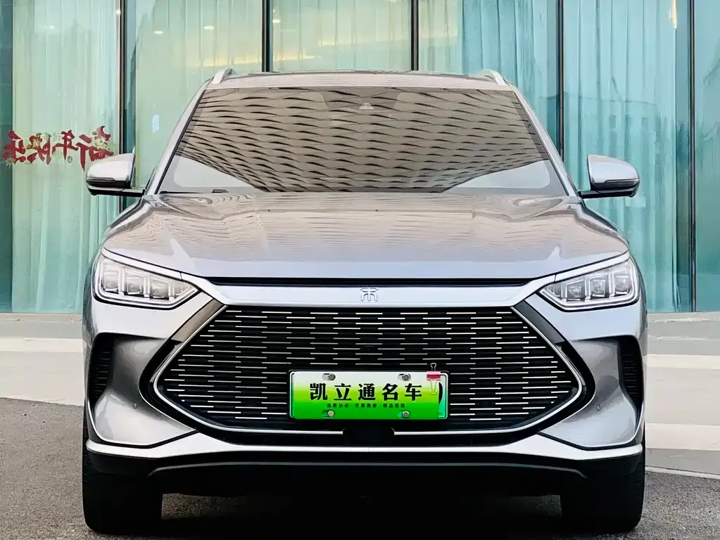 BYD PLUS New Energy 2023 из CN, фото 2