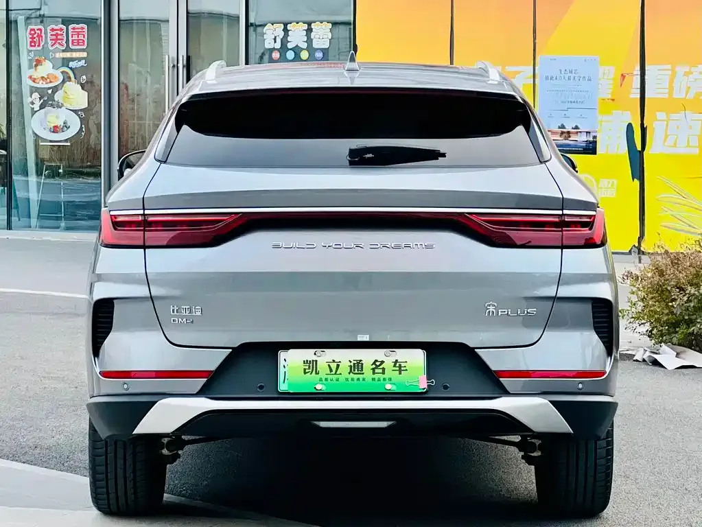 BYD PLUS New Energy 2023 из CN, фото 5