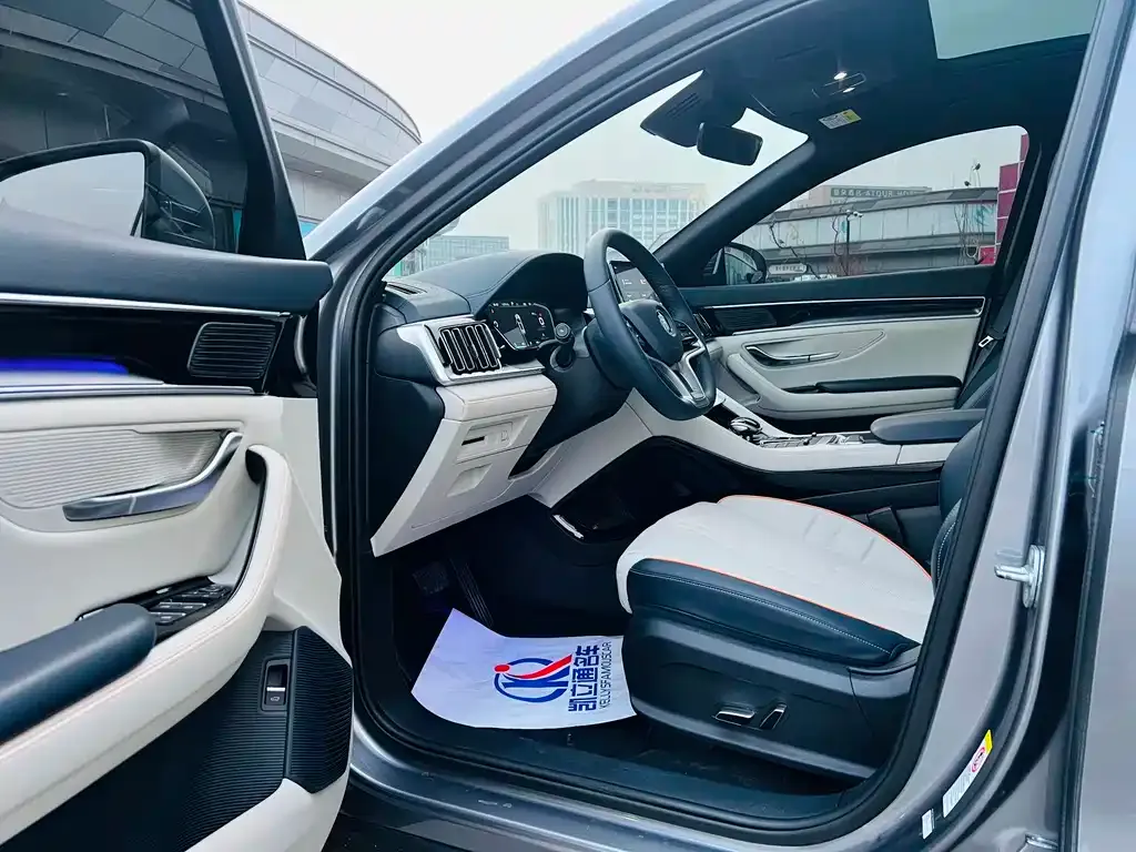 BYD PLUS New Energy 2023 из CN, фото 6