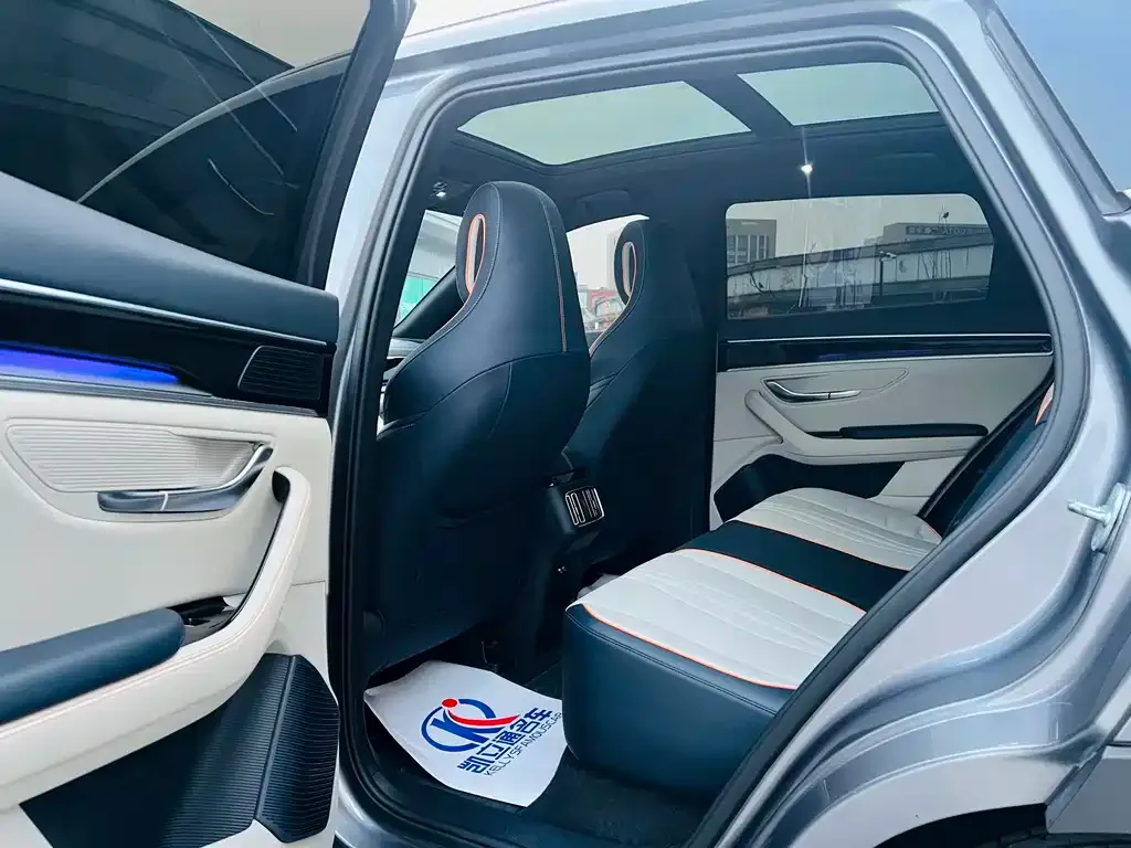 BYD PLUS New Energy 2023 из CN, фото 7