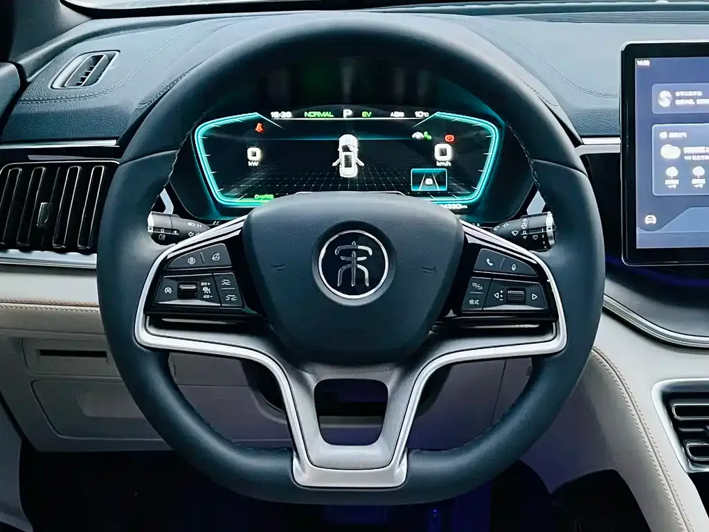 BYD PLUS New Energy 2023 из CN, фото 9