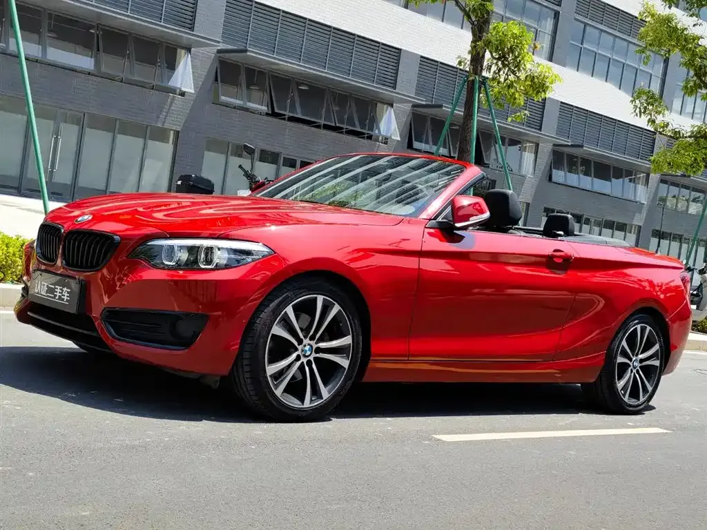 BMW 2 Series (Import) 2022 из CN, фото 1