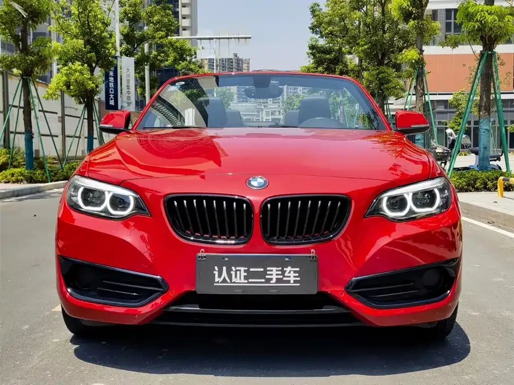 BMW 2 Series (Import) 2022 из CN, фото 2