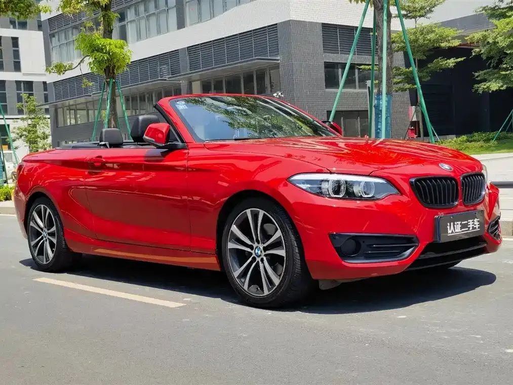 BMW 2 Series (Import) 2022 из CN, фото 3