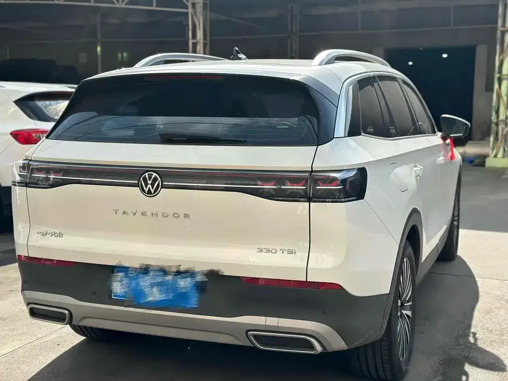 Volkswagen Tavendor 2023 из CN, фото 6