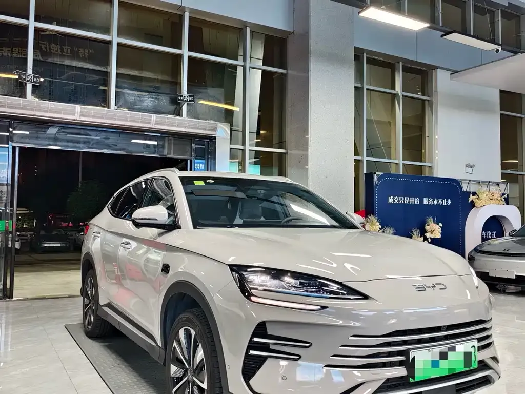 BYD PLUS New Energy 2025 из CN, фото 1