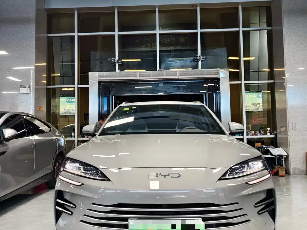 BYD PLUS New Energy 2025 из CN, фото 2