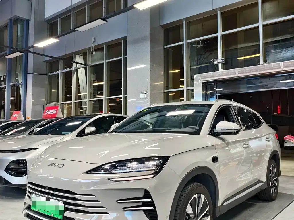 BYD PLUS New Energy 2025 из CN, фото 3