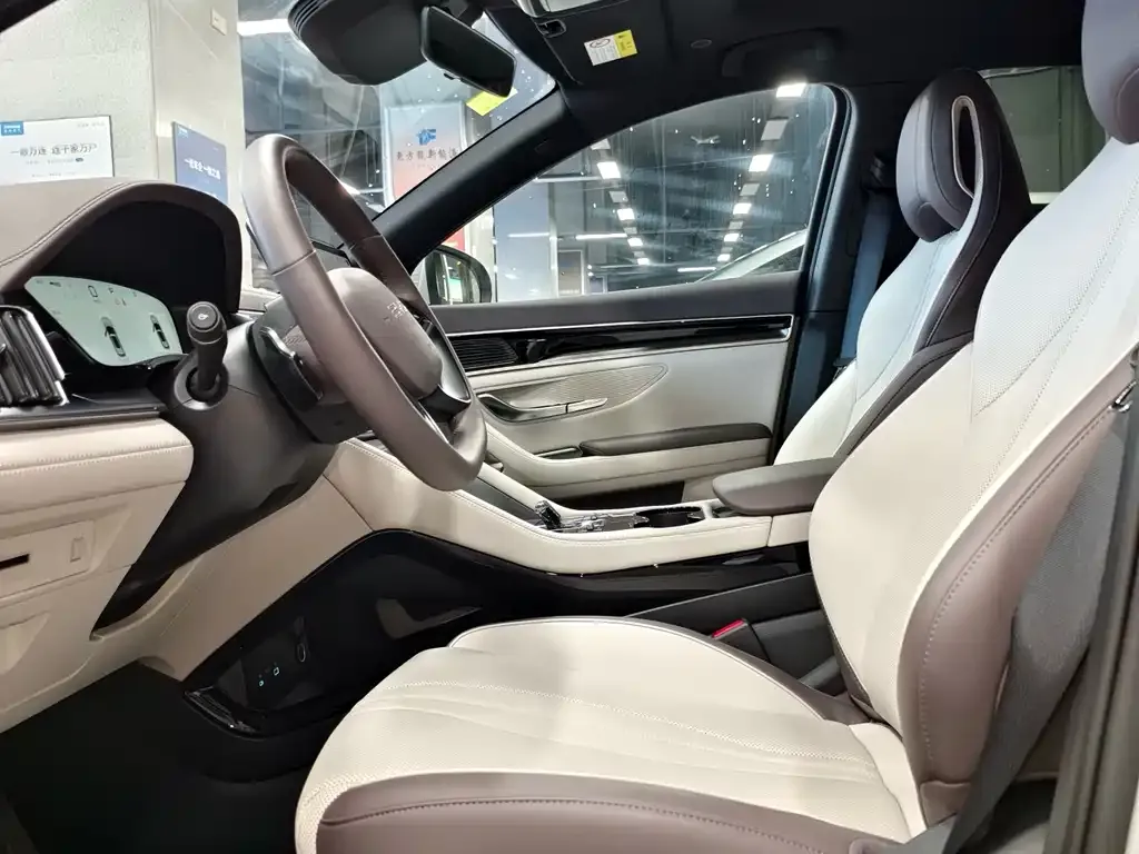 BYD PLUS New Energy 2025 из CN, фото 4