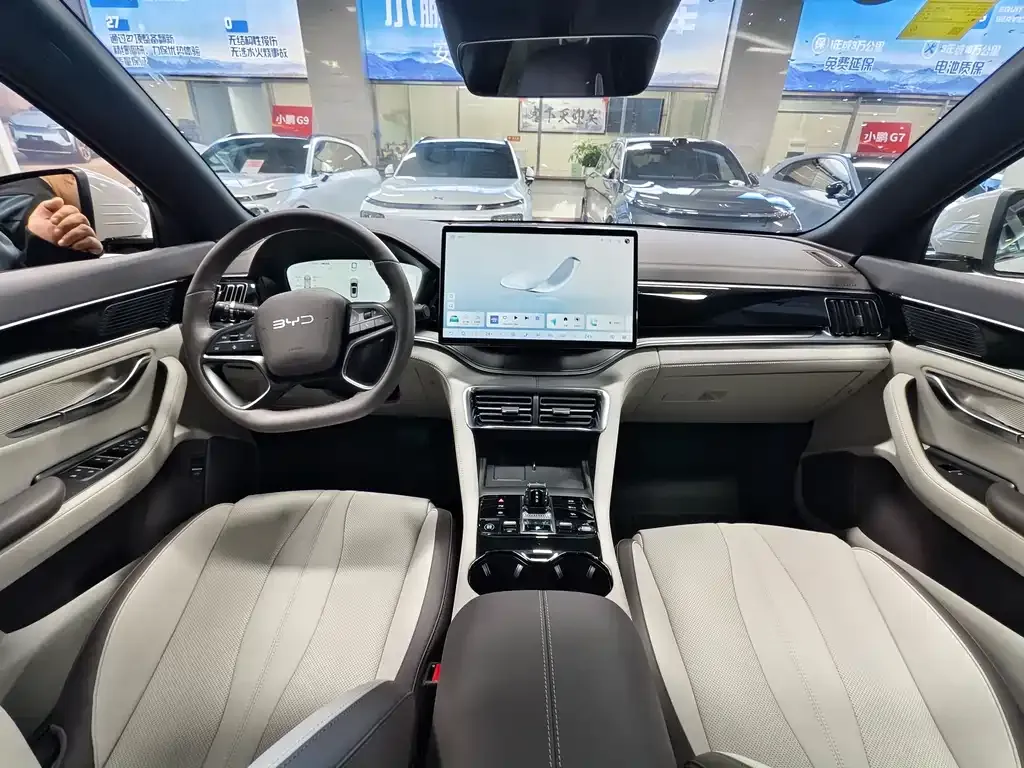 BYD PLUS New Energy 2025 из CN, фото 5