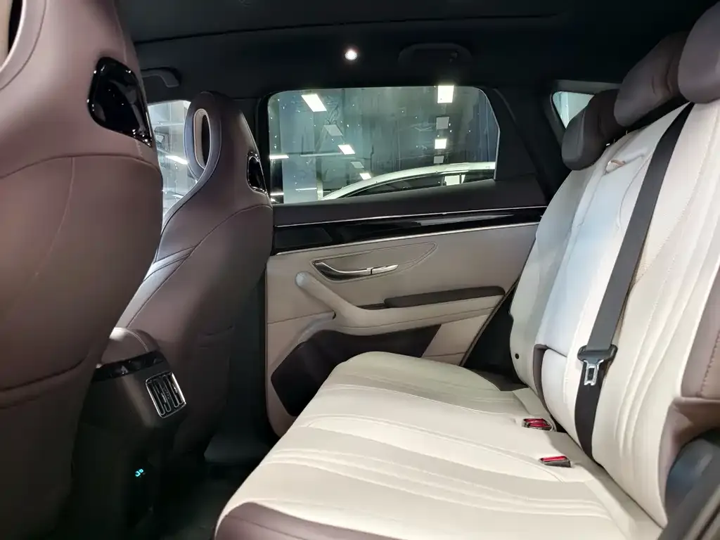 BYD PLUS New Energy 2025 из CN, фото 6