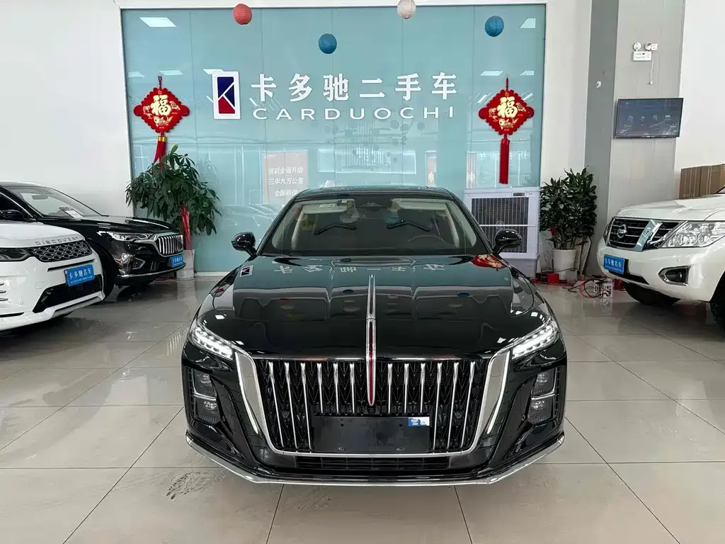 Hongqi H5 2024 из CN, фото 2
