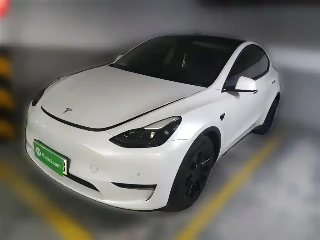 Tesla Model Y 2021 из CN, фото 1