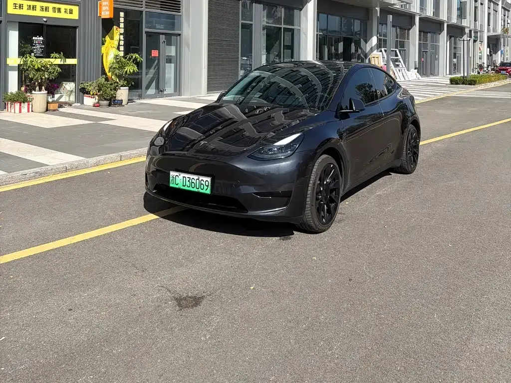 Tesla Model Y — фото 1