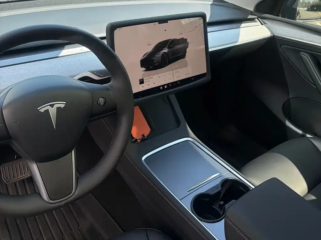 Tesla Model Y — фото 10