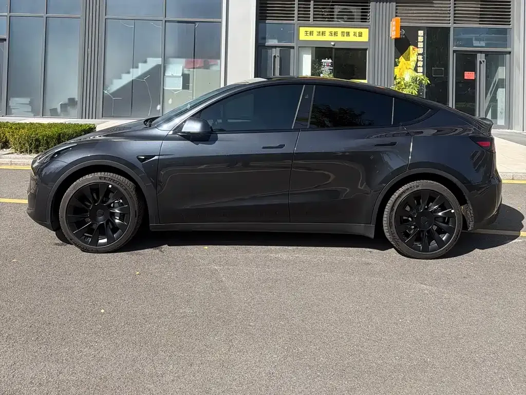 Tesla Model Y — фото 3