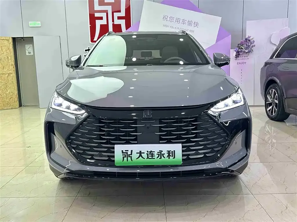 BYD Tang New Energy 2025 из CN, фото 2