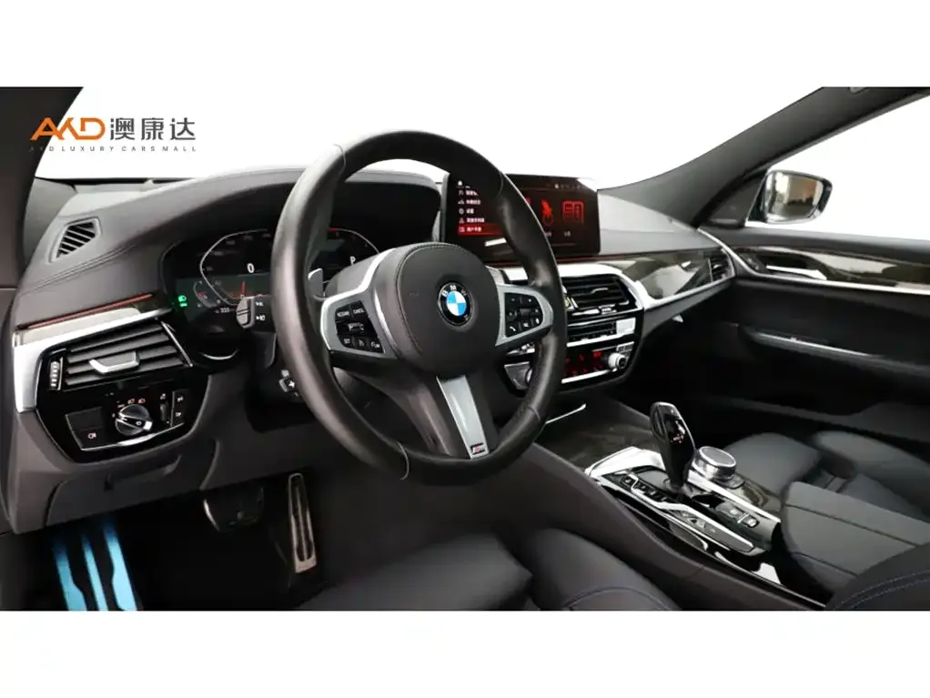 BMW 6 Series GT 2021 из CN, фото 6
