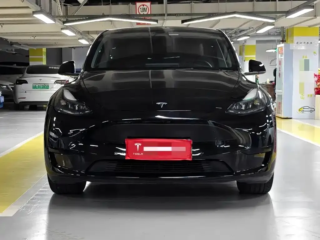Tesla Model Y 2023 из CN, фото 2
