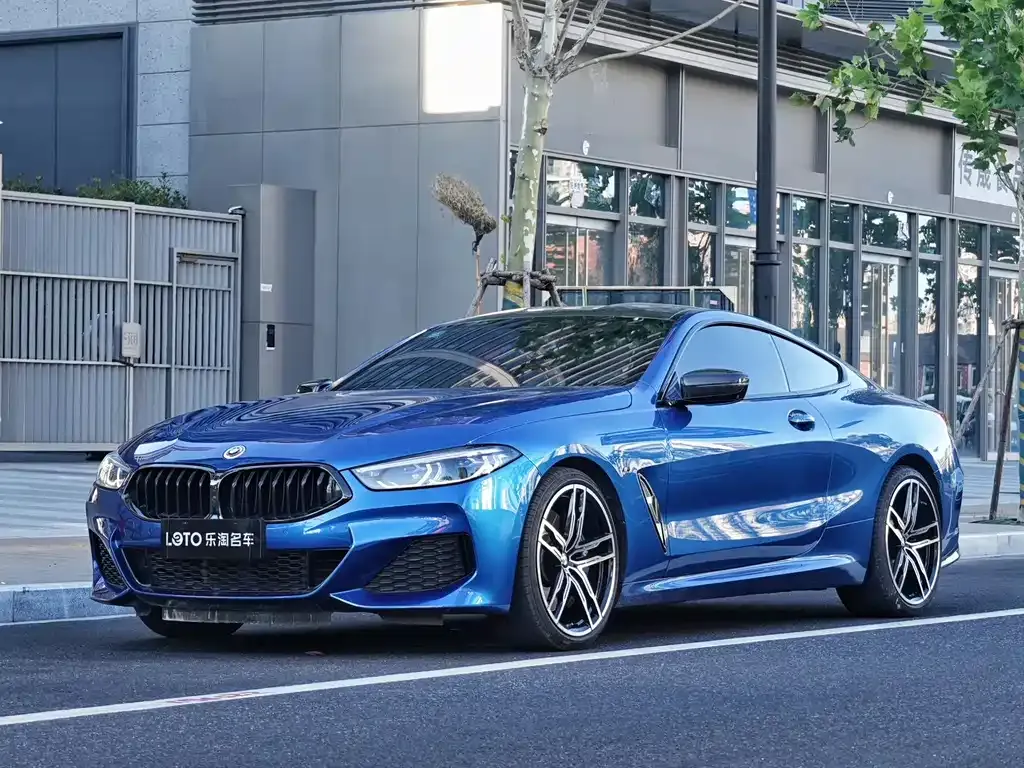 BMW 8 Series 2021 из CN, фото 1
