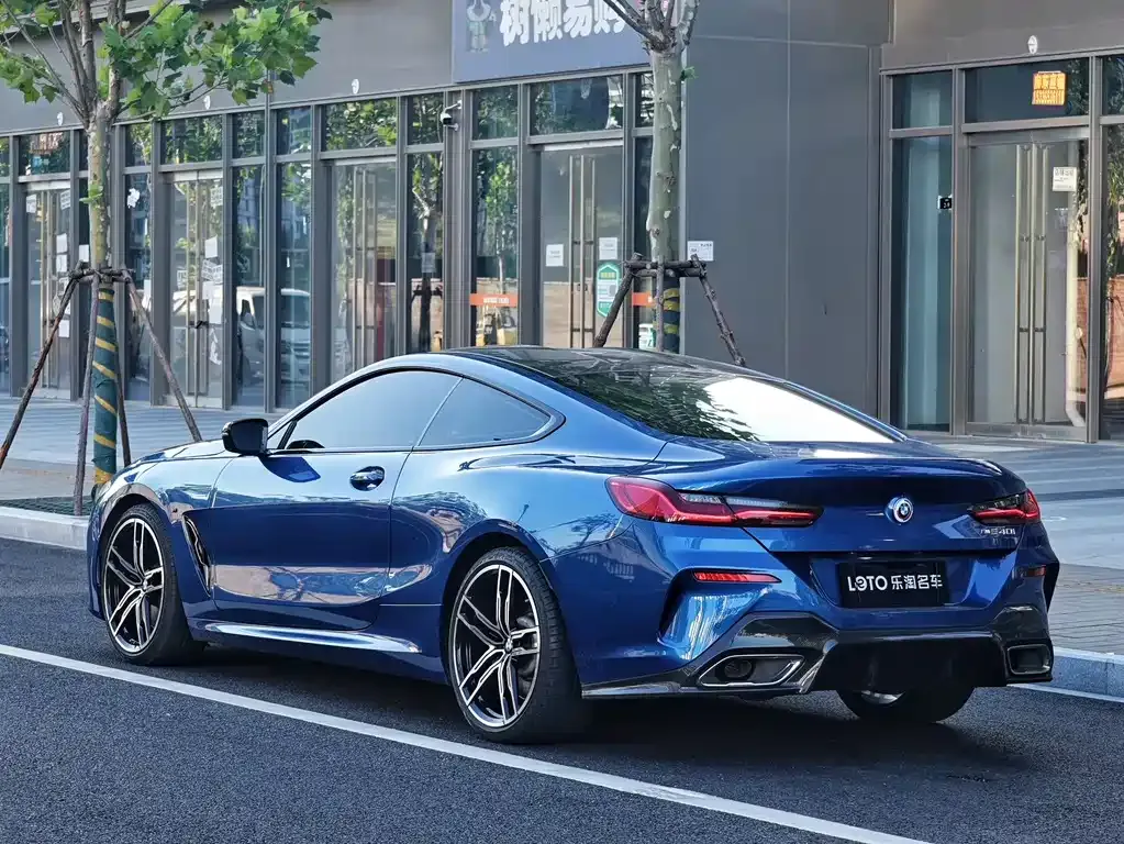 BMW 8 Series 2021 из CN, фото 3