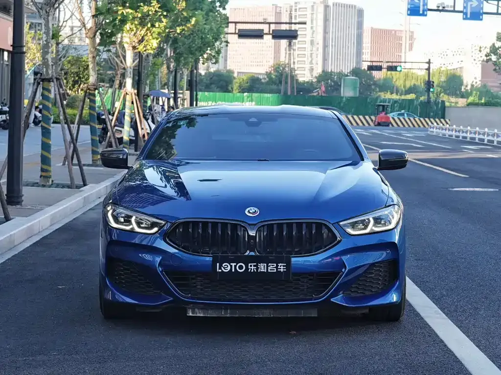 BMW 8 Series 2021 из CN, фото 5
