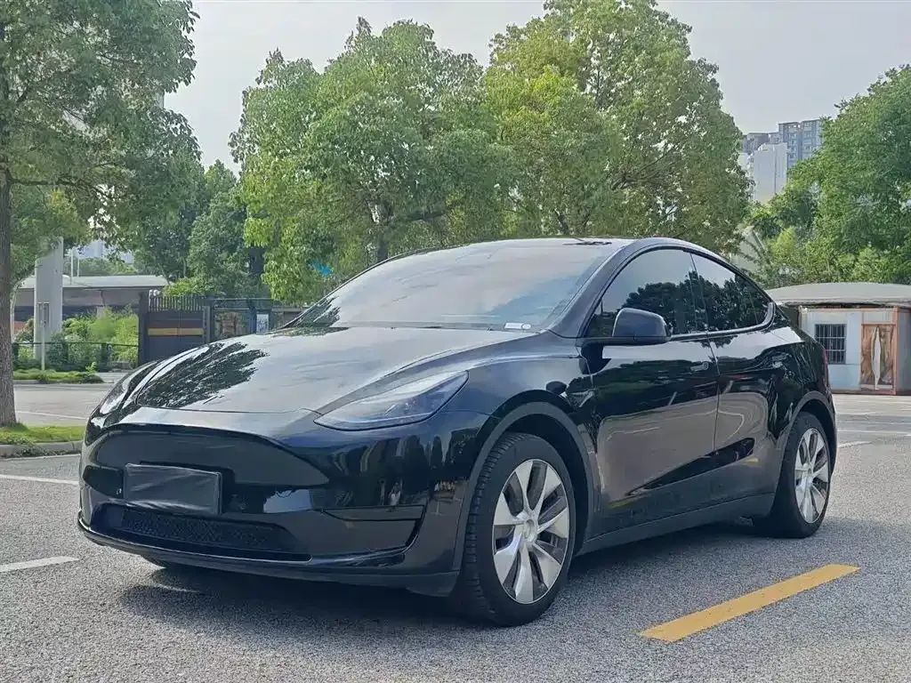 Tesla Model Y 2023 из CN, фото 1
