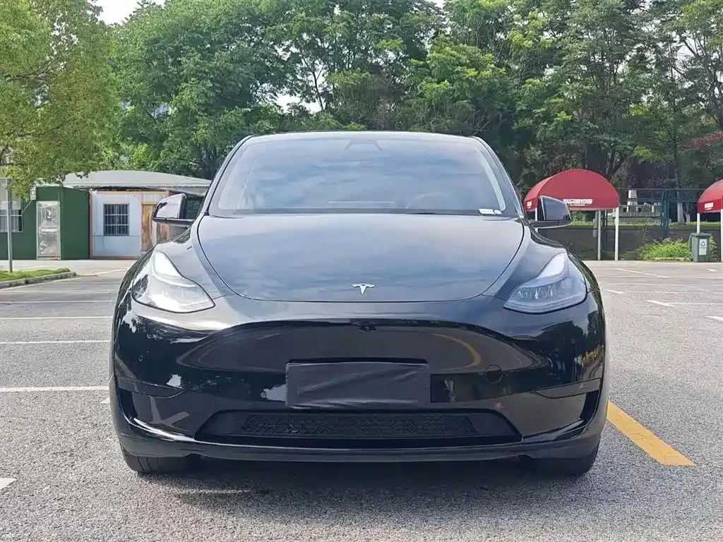 Tesla Model Y 2023 из CN, фото 2