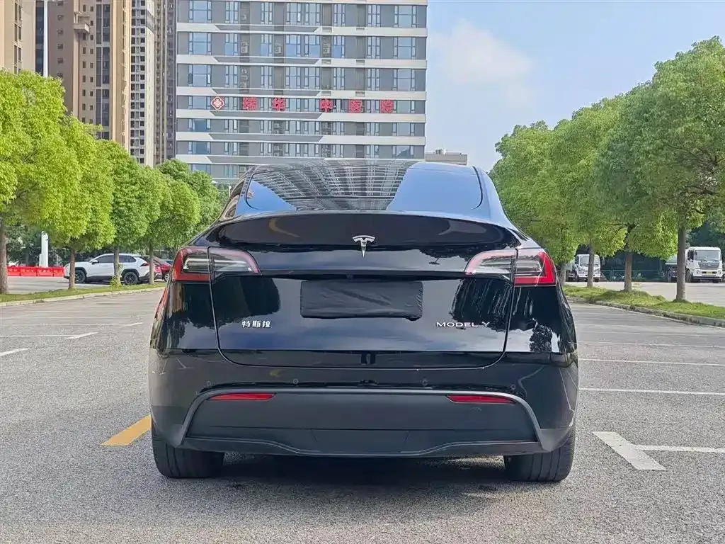 Tesla Model Y 2023 из CN, фото 5
