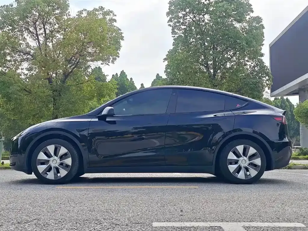 Tesla Model Y 2023 из CN, фото 6