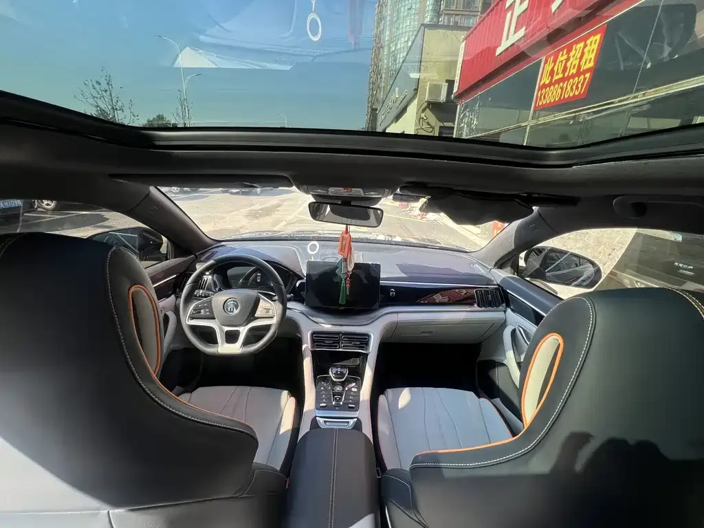 BYD PLUS New Energy — фото 8
