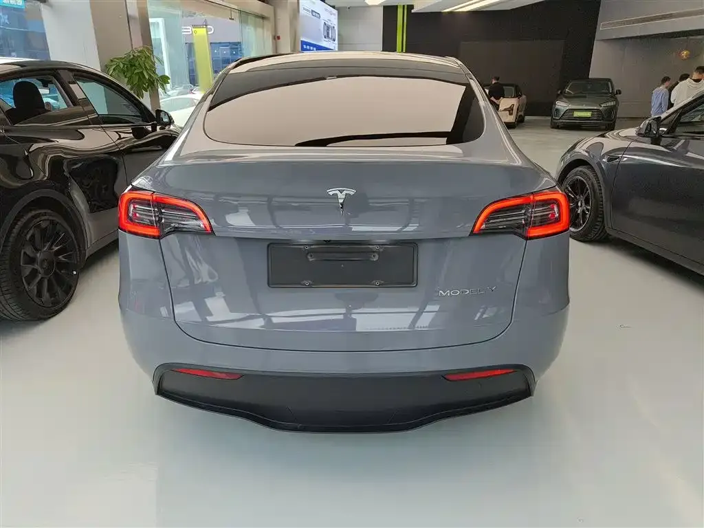 Tesla Model Y 2023 из CN, фото 6