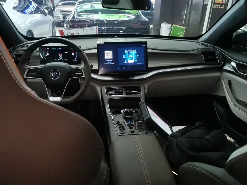 BYD Qin PLUS — фото 10