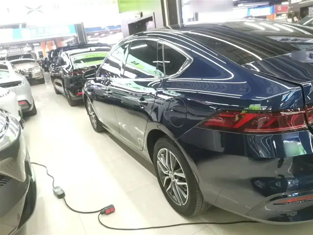 BYD Qin PLUS — фото 5