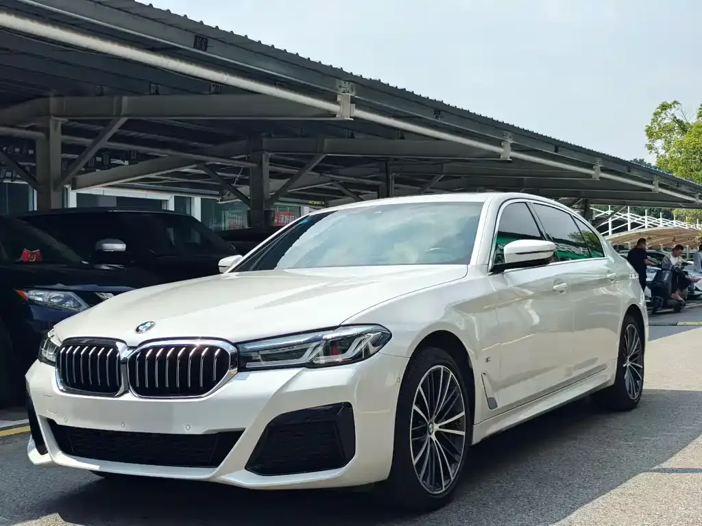 BMW 5 Series 2023 из CN, фото 1