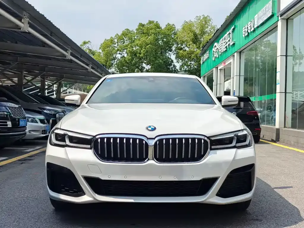 BMW 5 Series 2023 из CN, фото 2