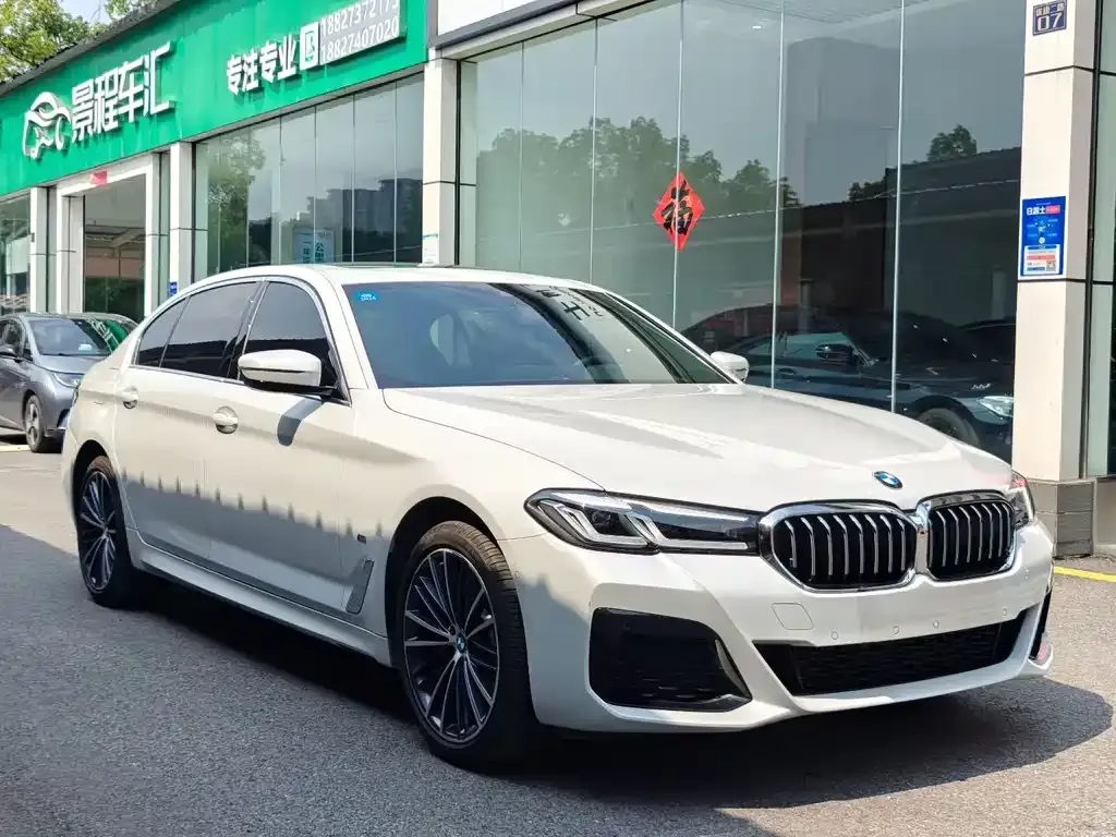 BMW 5 Series 2023 из CN, фото 3