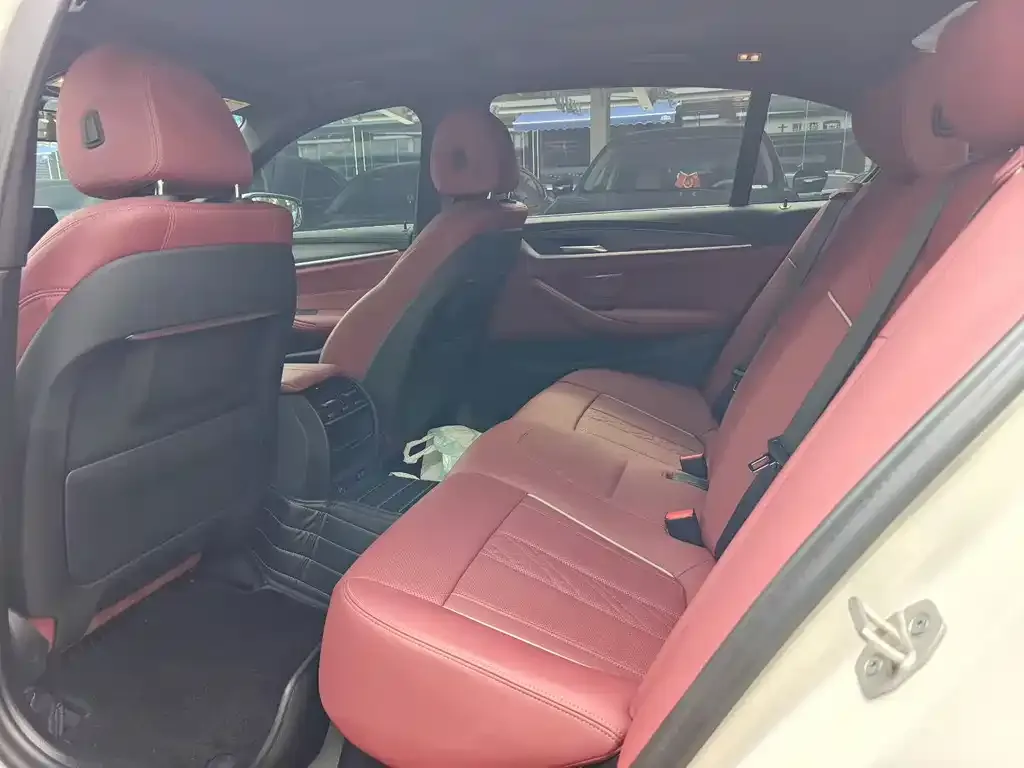 BMW 5 Series 2023 из CN, фото 5