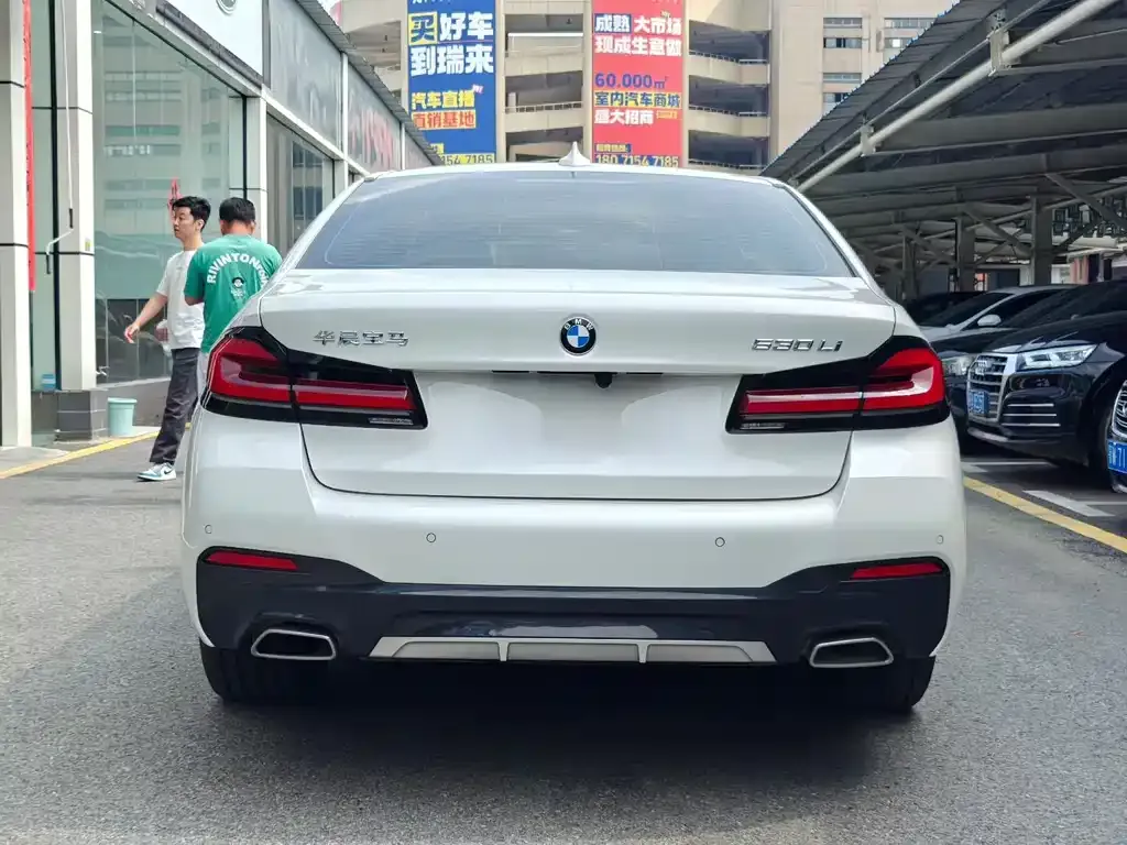 BMW 5 Series 2023 из CN, фото 8