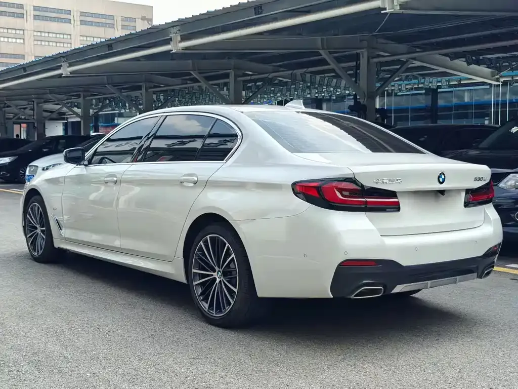 BMW 5 Series 2023 из CN, фото 9