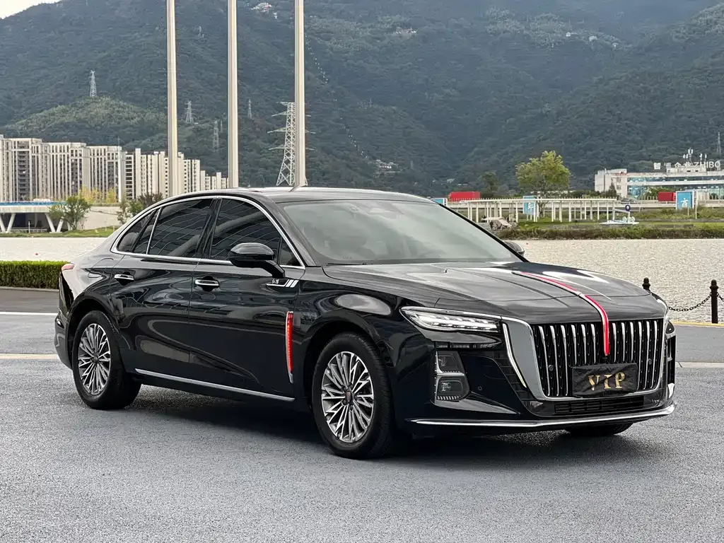 Hongqi H5 2023 из CN, фото 3