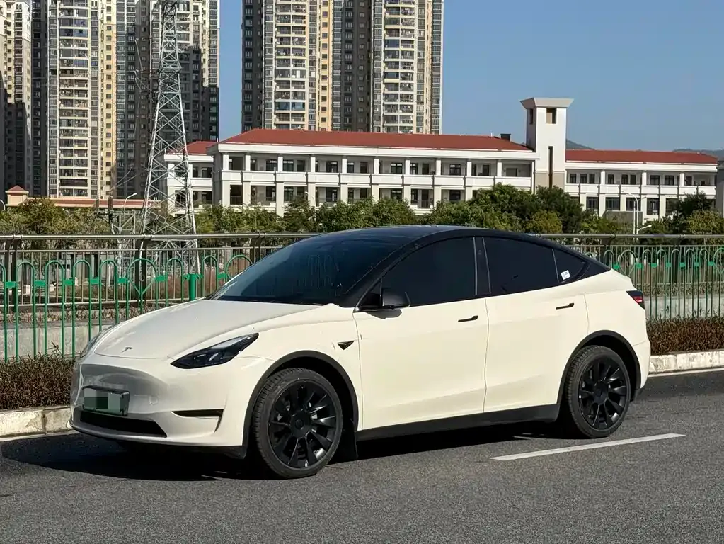 Tesla Model Y 2024 из CN, фото 1