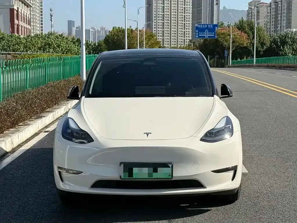 Tesla Model Y 2024 из CN, фото 2