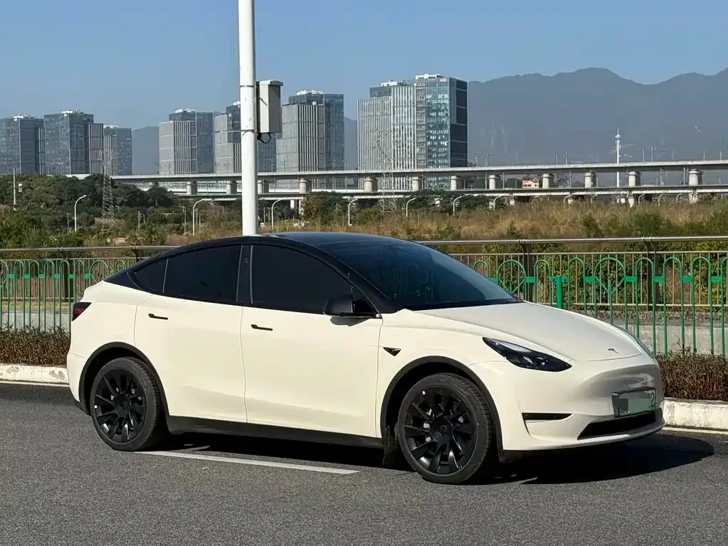 Tesla Model Y 2024 из CN, фото 3